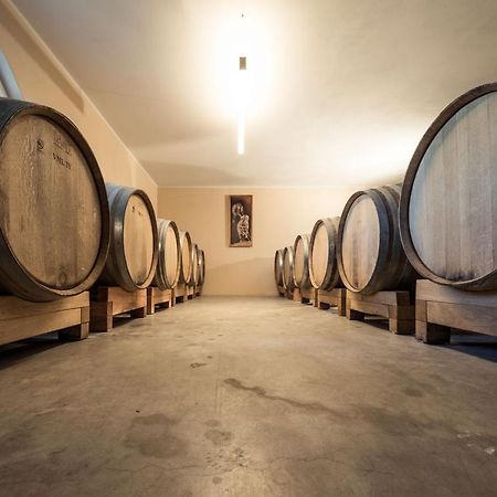 阿皮亚诺苏拉斯特拉达Weingut Dona别墅 外观 照片