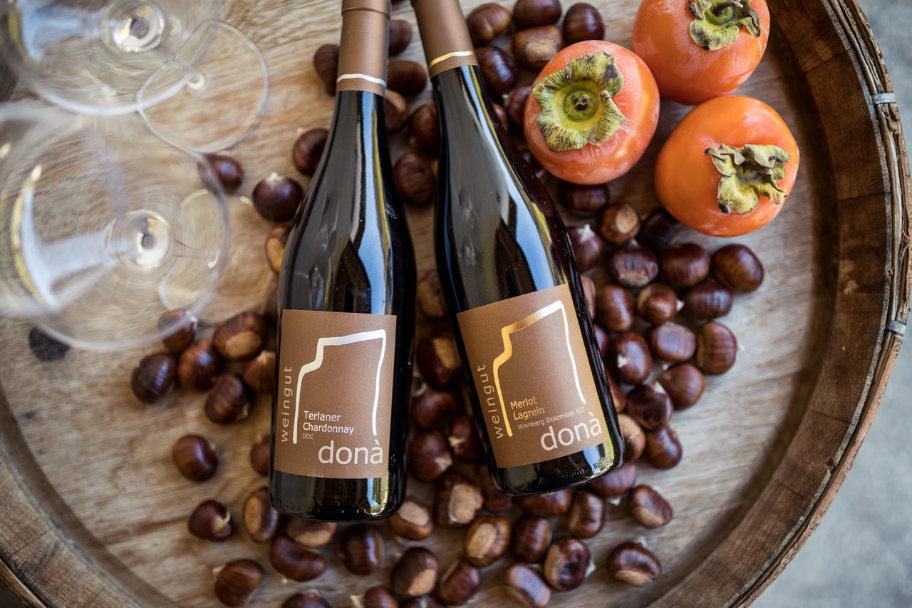 阿皮亚诺苏拉斯特拉达Weingut Dona别墅 外观 照片