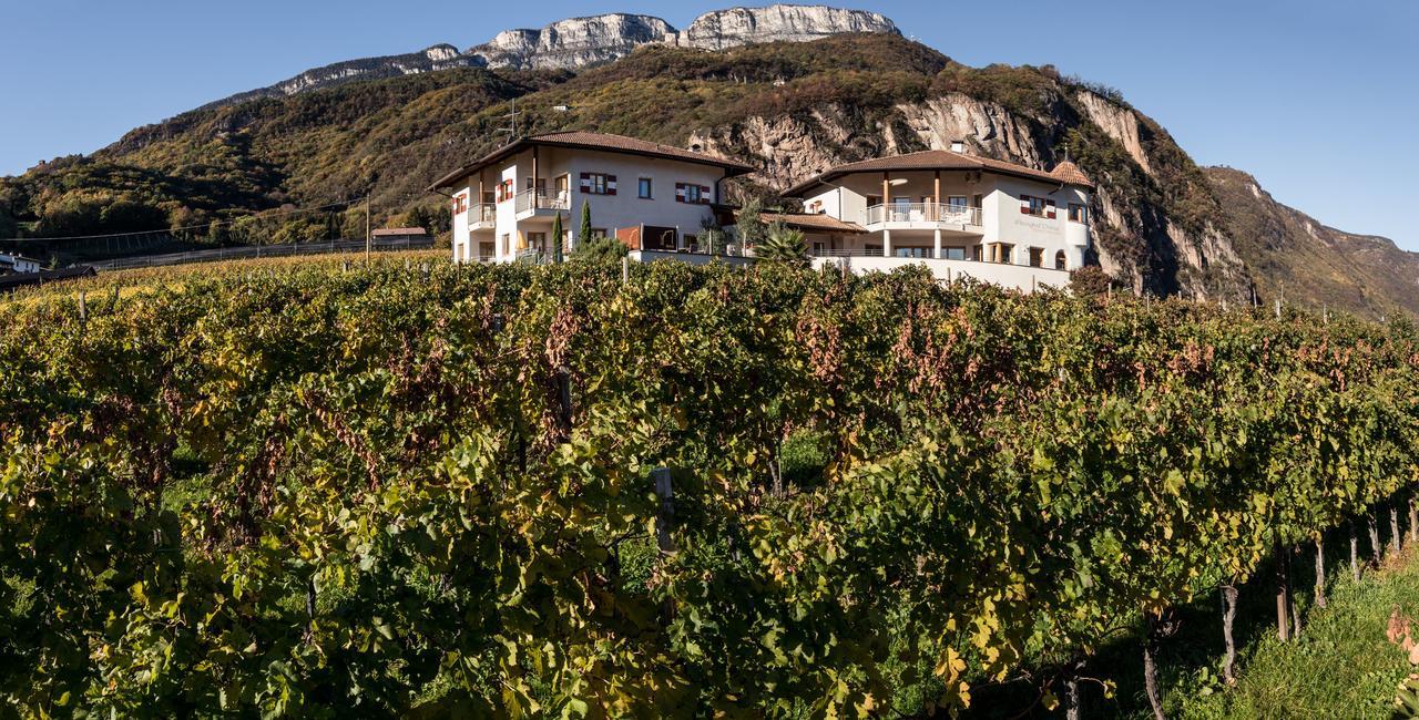 阿皮亚诺苏拉斯特拉达Weingut Dona别墅 外观 照片