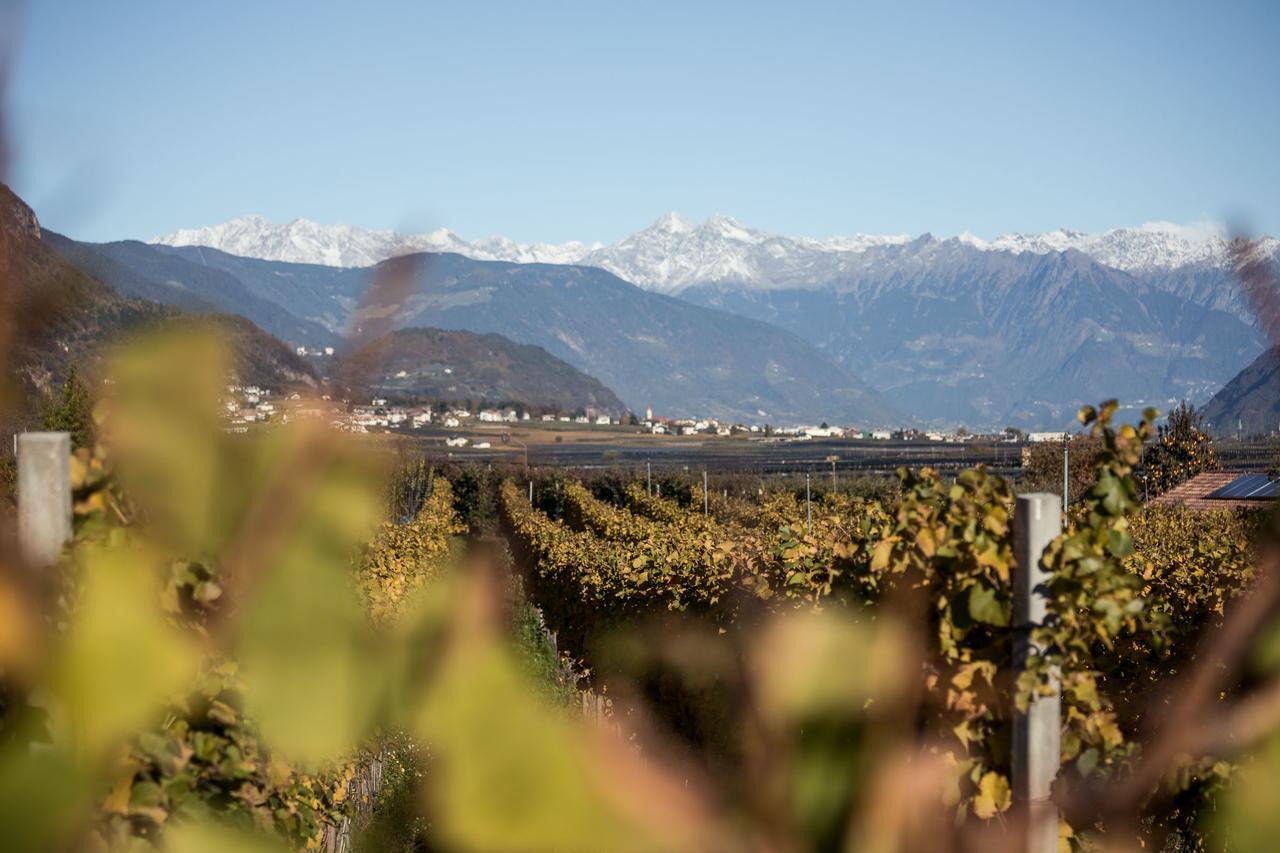 阿皮亚诺苏拉斯特拉达Weingut Dona别墅 外观 照片