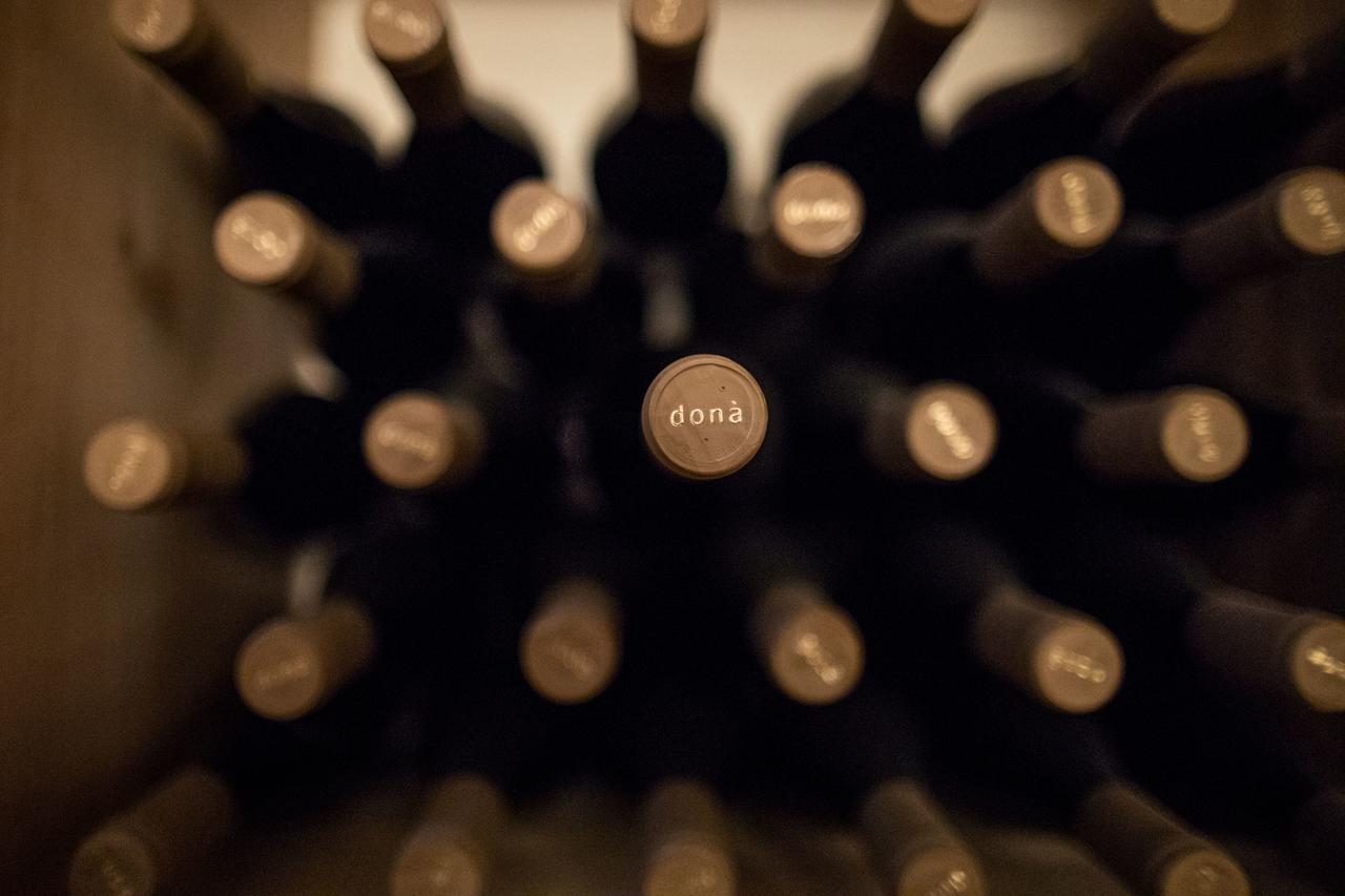 阿皮亚诺苏拉斯特拉达Weingut Dona别墅 外观 照片